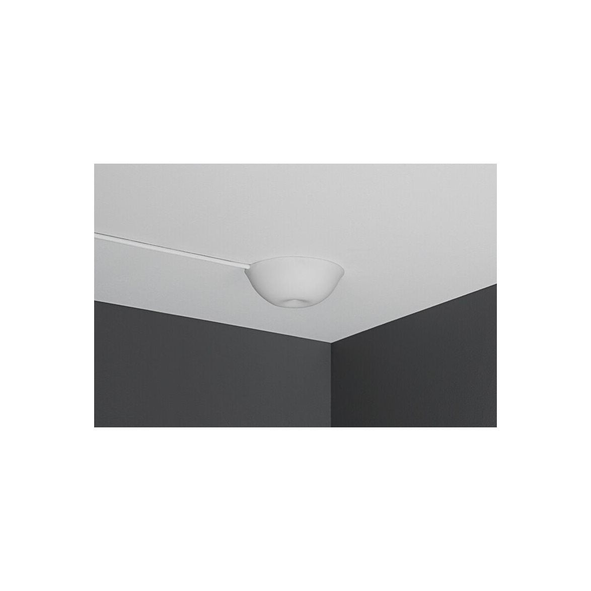 CableCup Hide Vit