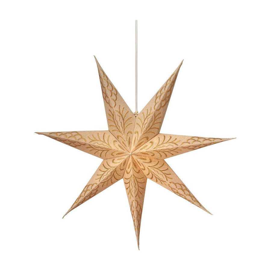 Celeste star golden sand 60cm