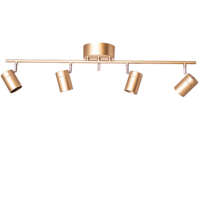 Correct sakskena 4-låg guld