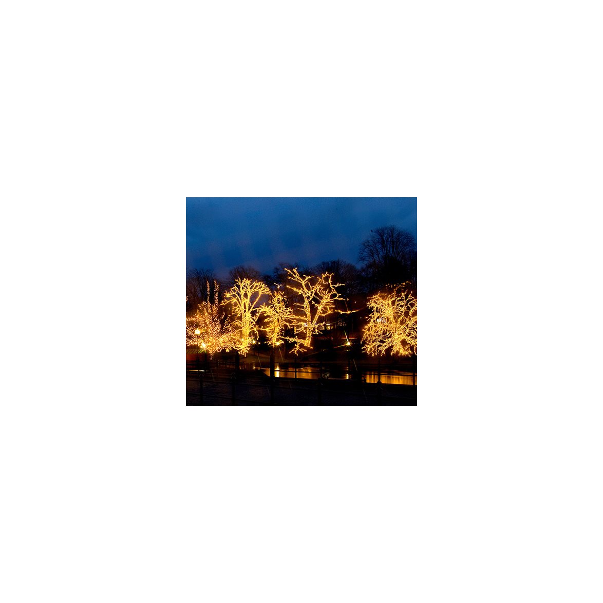 System LED 50ljus varmvit